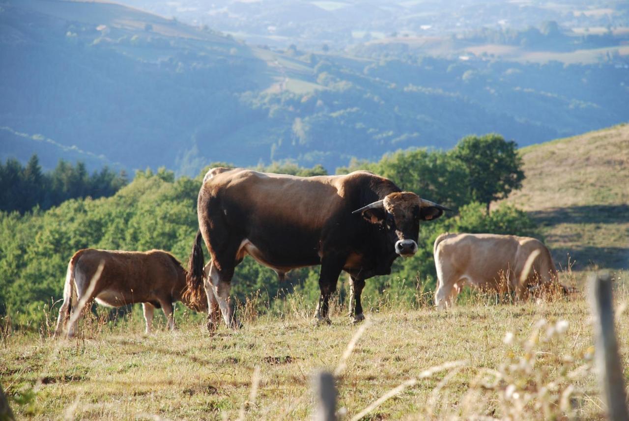 Gite De Sejour Haut 2 Gammes Saint-Hippolyte  Exteriör bild
